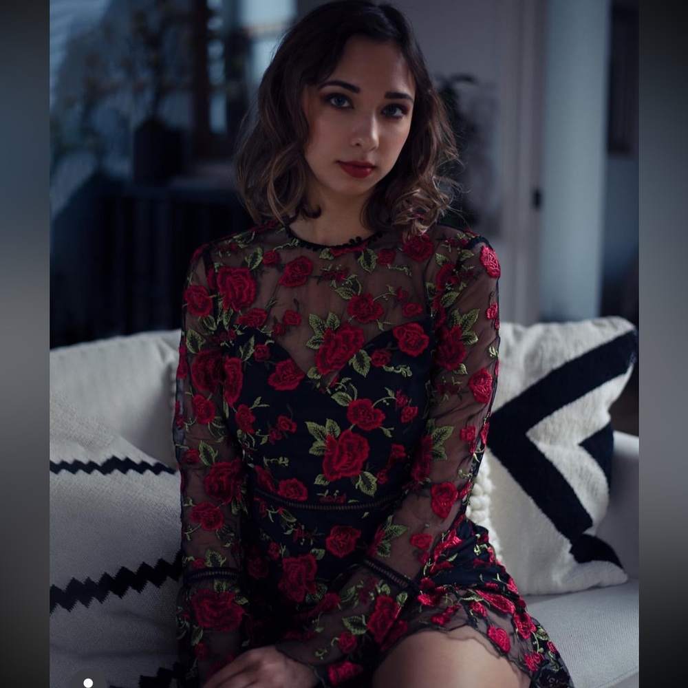 Beautiful rose dress by Saylor NY - Picture 5 of 10